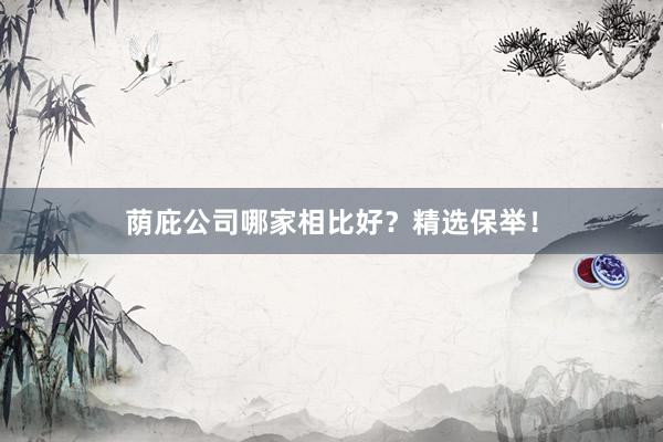 荫庇公司哪家相比好？精选保举！