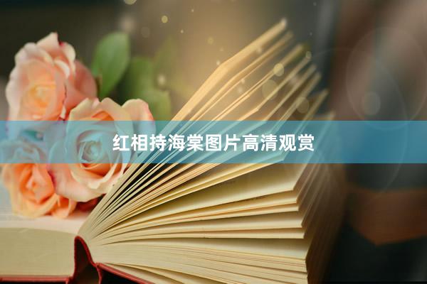 红相持海棠图片高清观赏
