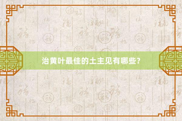 治黄叶最佳的土主见有哪些？