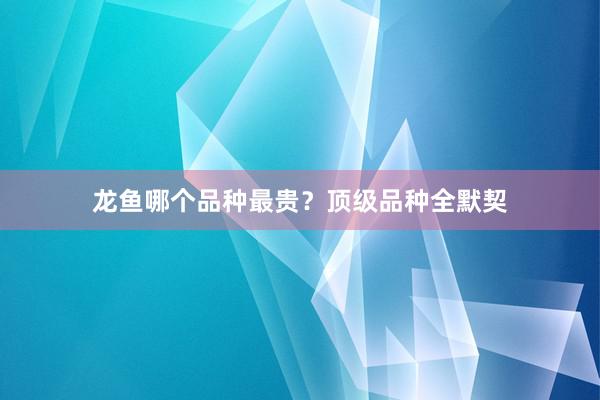 龙鱼哪个品种最贵？顶级品种全默契